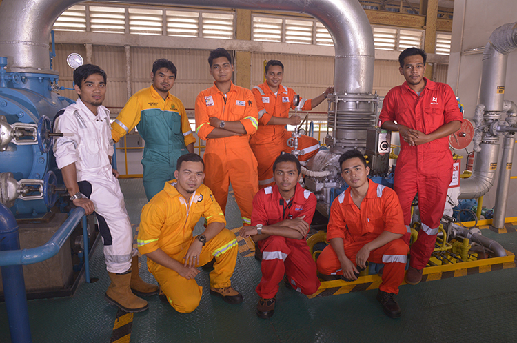 Program Pendidikan Tinggi Yang Meluas
